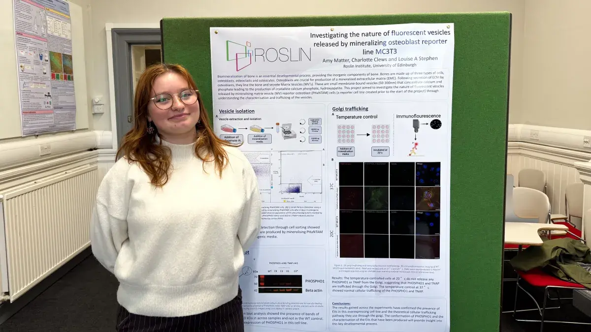 Amy Matter presents summer research project