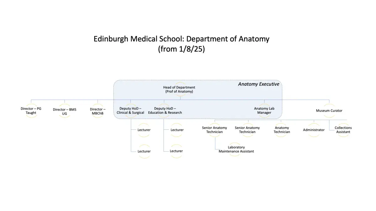 Department of Anatomy Organogram