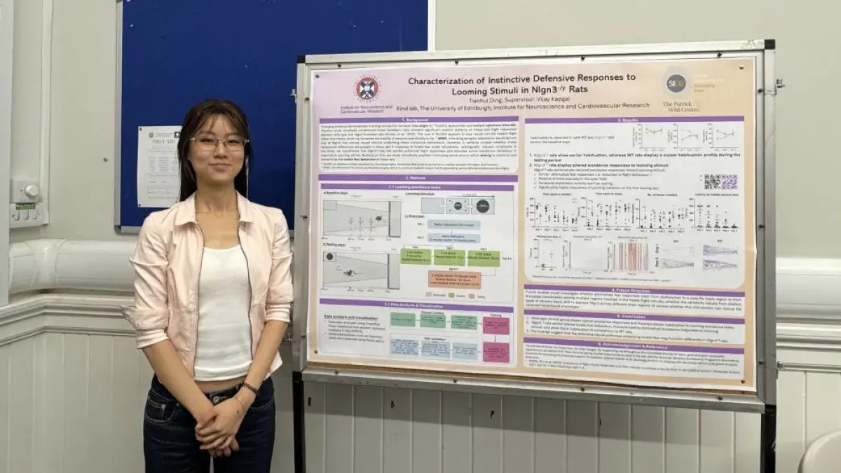TianHui Ding - Summer Research Project 2025