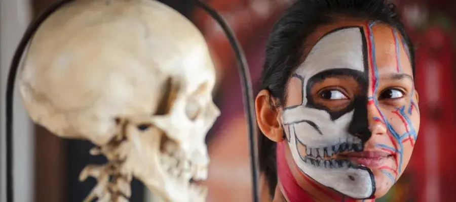 A girl's painted face next to a skull shows the anatomy of the human skull
