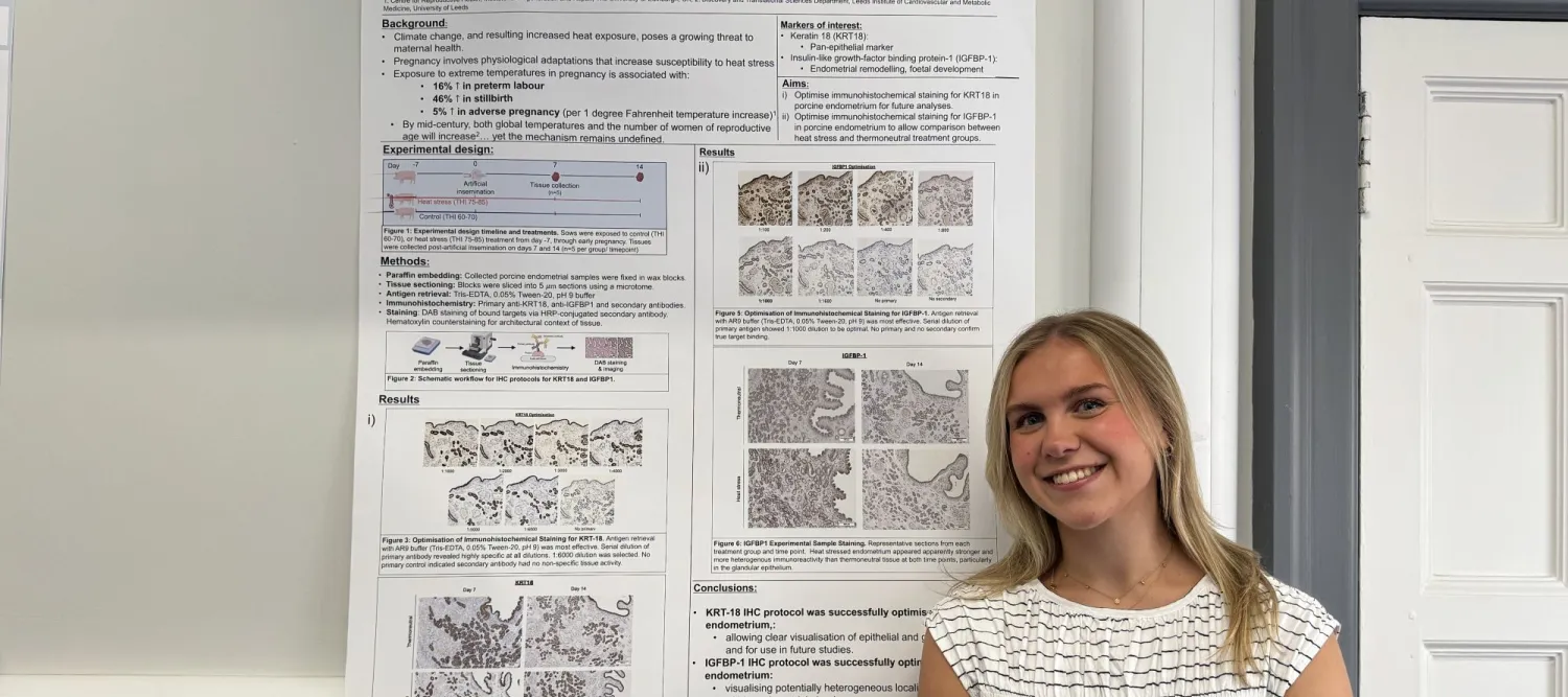 Hannah Jack - Summer Research Project 2026
