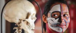A girl's painted face next to a skull shows the anatomy of the human skull