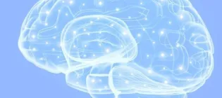 A cropped image of the Brain Conference logo