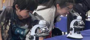 Two children looking down microscopes as part of the Science festival exhibit