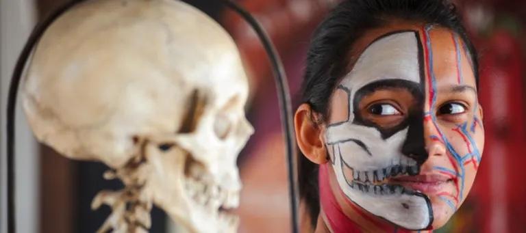 A girl's painted face next to a skull shows the anatomy of the human skull