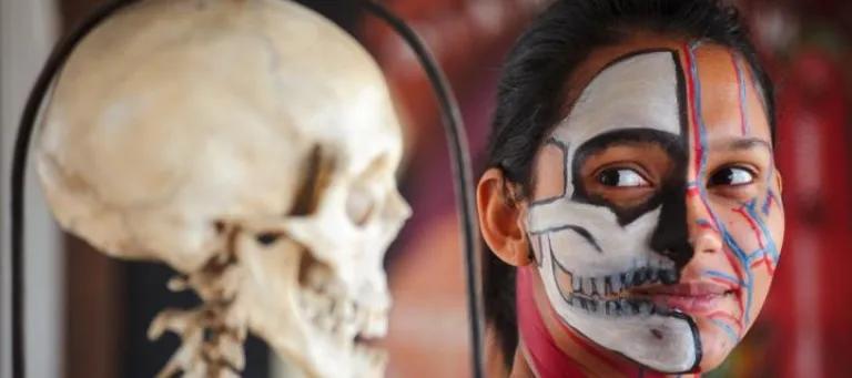 A girl's painted face next to a skull shows the anatomy of the human skull