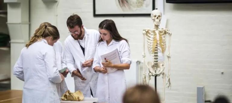 Anatomy students examine bones