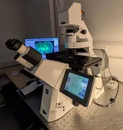 Zeiss Observer microscope