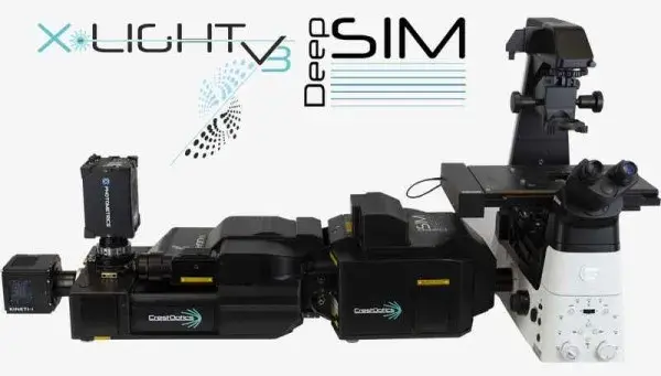 Spinning Disk microscope
