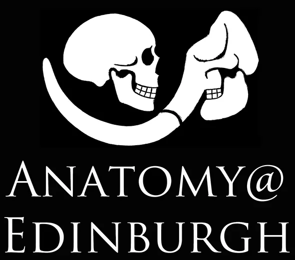 Anatomy@Edinburgh Logo