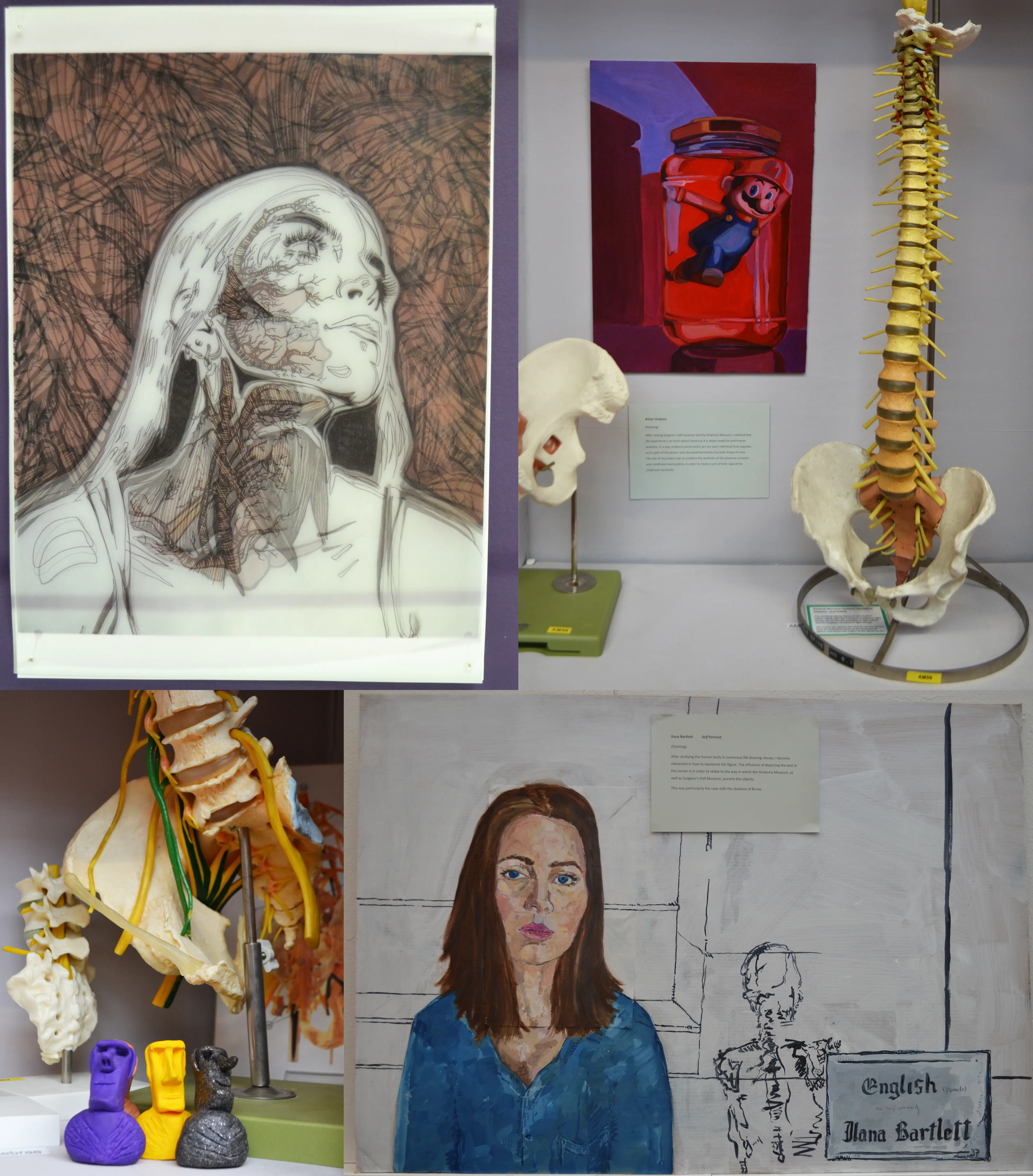 Exhibition peices from Anatomy in Art Exhibition