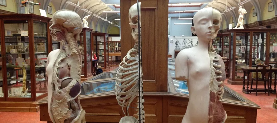 View of inside the museum and the exhibits