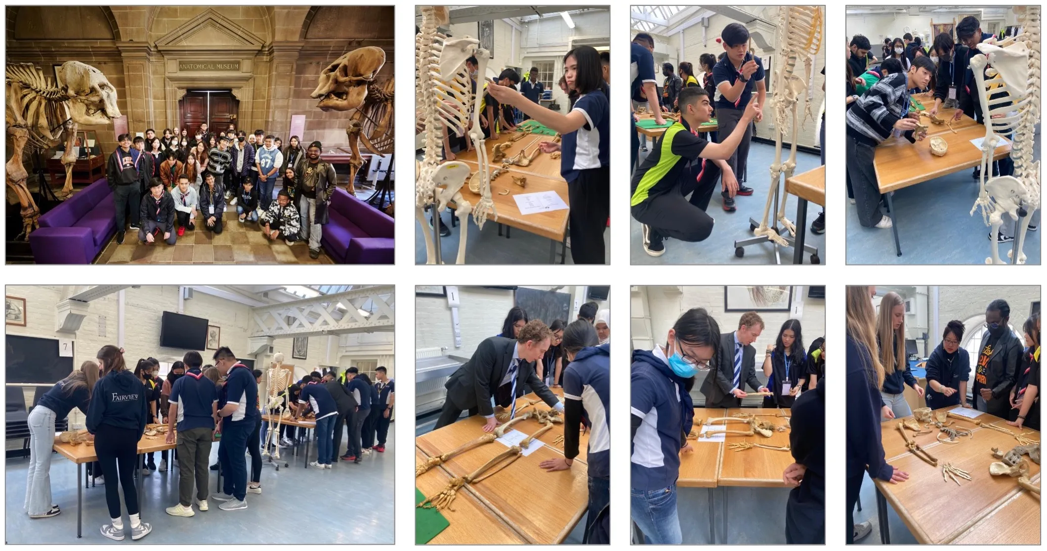 Photos from Fairview International School visit to Anatomy@Edinburgh