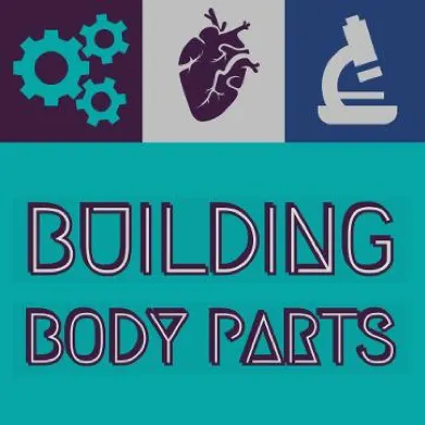 Building Body Parts