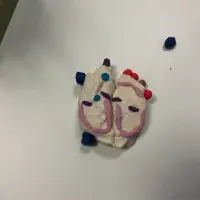 Anatomy Outreach 1