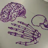 Image of 3D printed pen work (brain, skull, hand)
