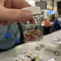 Image of Tissue Engineering Sample Model