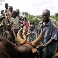 Community and cows in Uganda