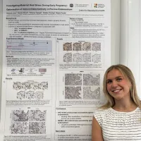 Hannah Jack - Summer Research Project 2026