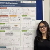 Niki Chan - Summer Research Project 2026