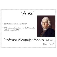 alex 600