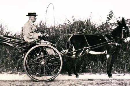 A photo of David Duncan Main with his horse and cart