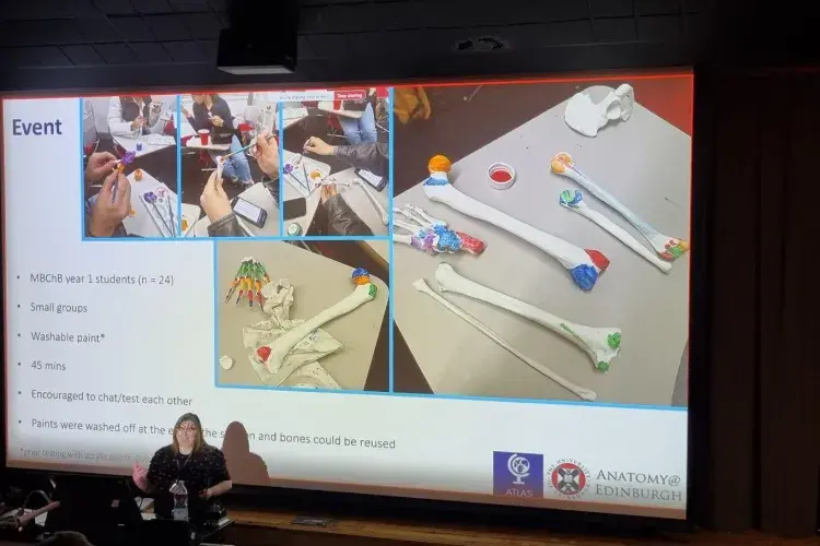 Dr Jennifer Paxton stands in front of a large screen showing colourful painted plastic bones