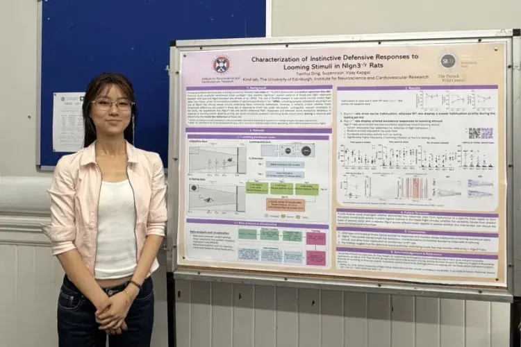 TianHui Ding - Summer Research Project 2025