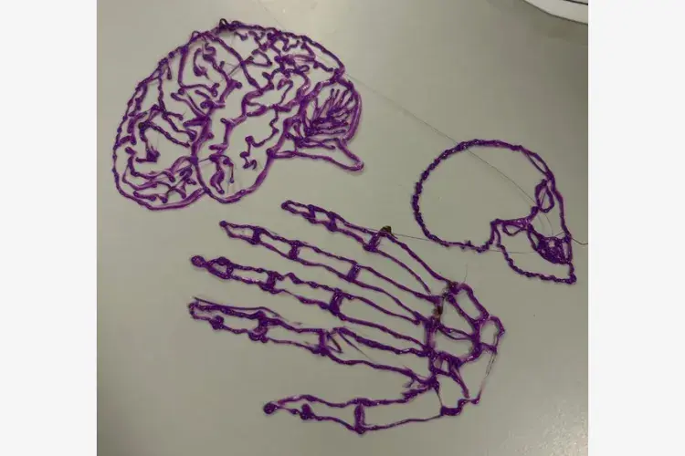 Image of 3D printed pen work (brain, skull, hand)
