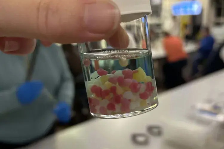 Image of Tissue Engineering Sample Model