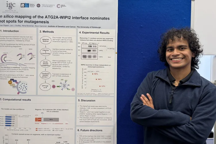 Anan Rajesh - Summer Research Project 2026