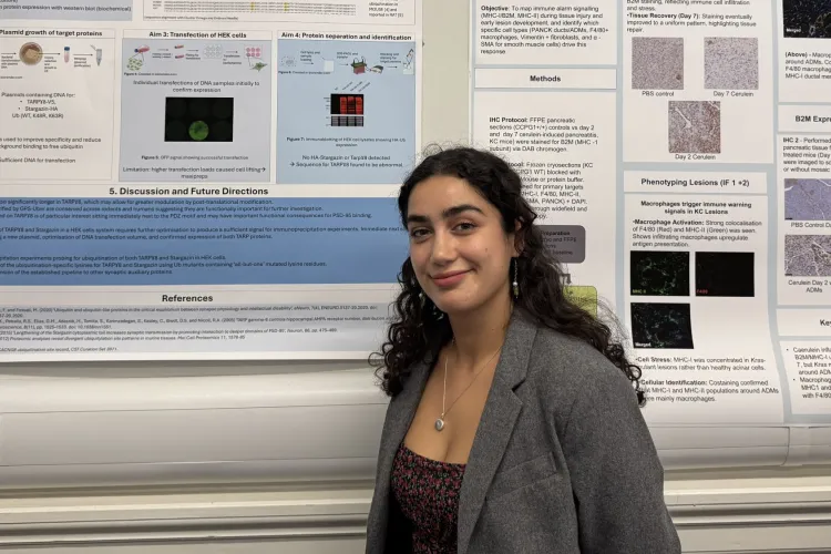 Niamh Redmond-Sanghera - Summer Research Project 2026