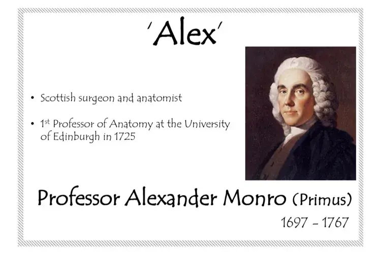 alex 600