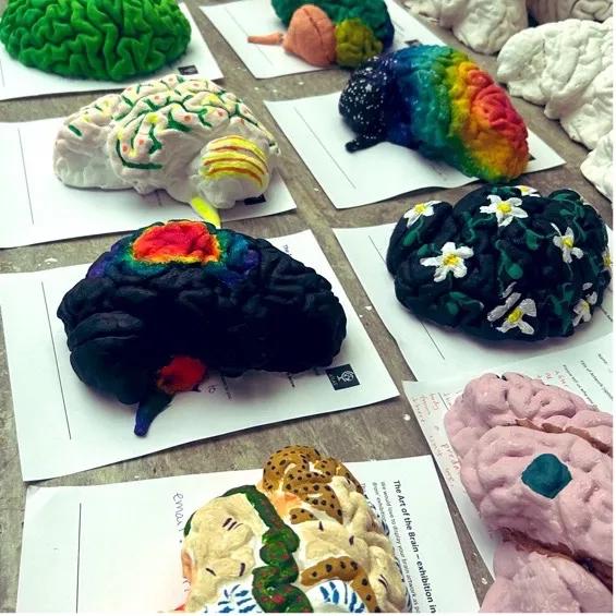 Painted Brain Models