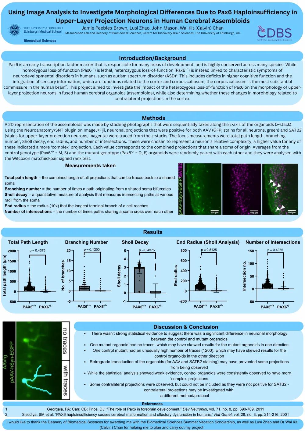 Jamie Peebles-Brown - Summer Research Project 2025