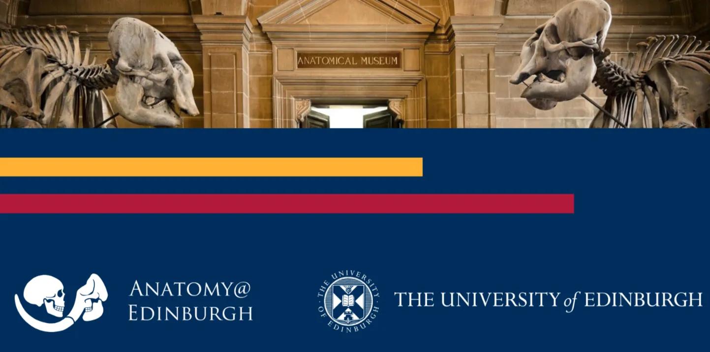 MSc Reunion Promotional Banner