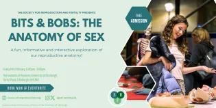 Bits and Bobs Ad Banner