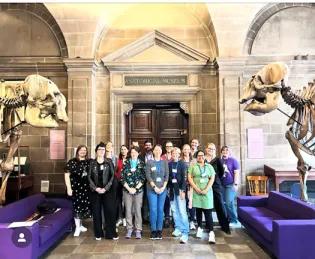 Anatomical Sciences Online Programme