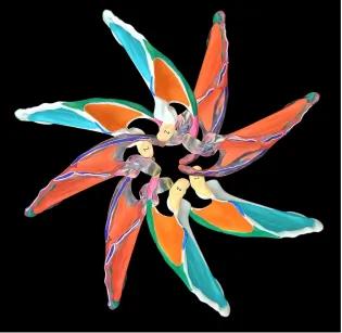 Image of the 'Osteoflora'