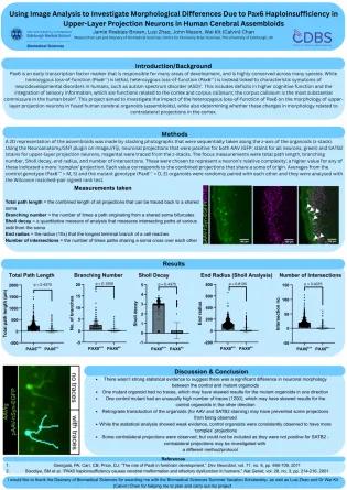 Jamie Peebles-Brown - Summer Research Project 2025