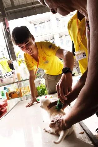 Hamish Mellanby volunteered with Mission Rabies in Phnom Penh, Cambodia