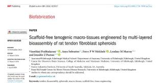 Image of Biofabrication article