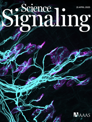 Image credit: Helena Chaytow for the front cover of Science Signaling