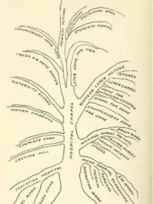 Organigram drawing of the branches of the hospital