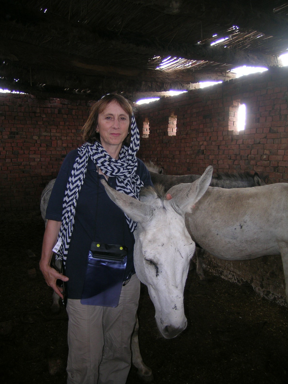 Alex Thiemann stands next to a donkey in Spain