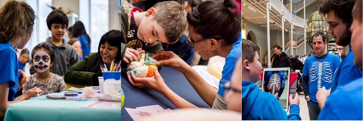 Various images of the public taking part in Anatomy science Saturday at the museum