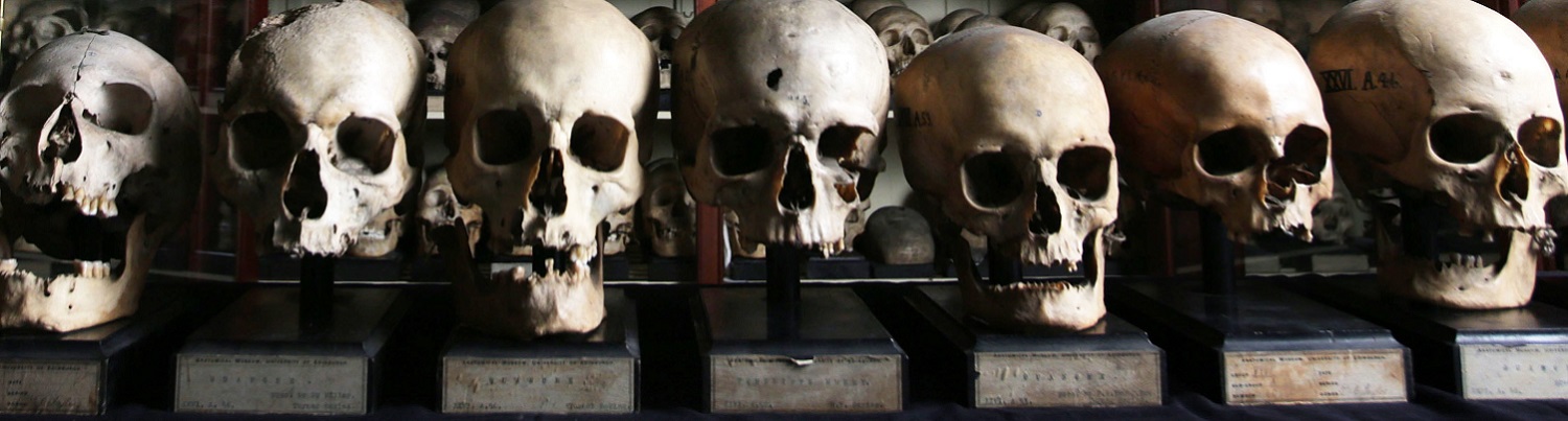 Close up image of seven skulls from the Canary Islands