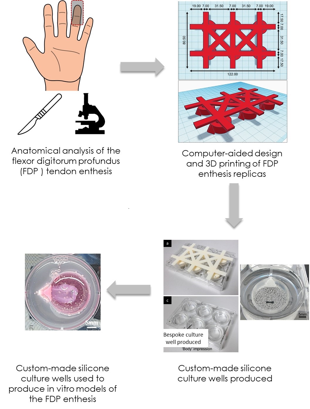 Science images from published paper